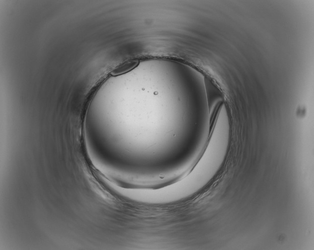 X0000091980397200709201431