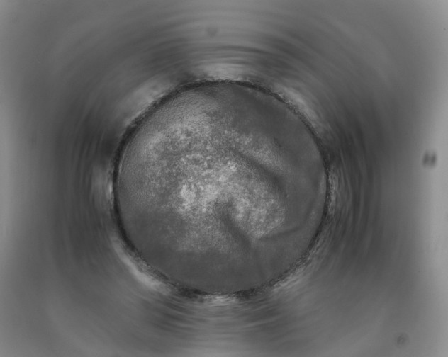 X0000091980398200709201431