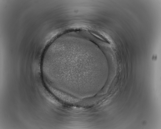 X0000091980399200709201431