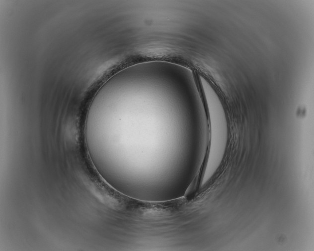 X0000091980400200709201431