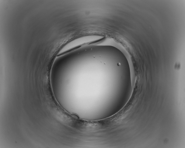 X0000091980401200709201431