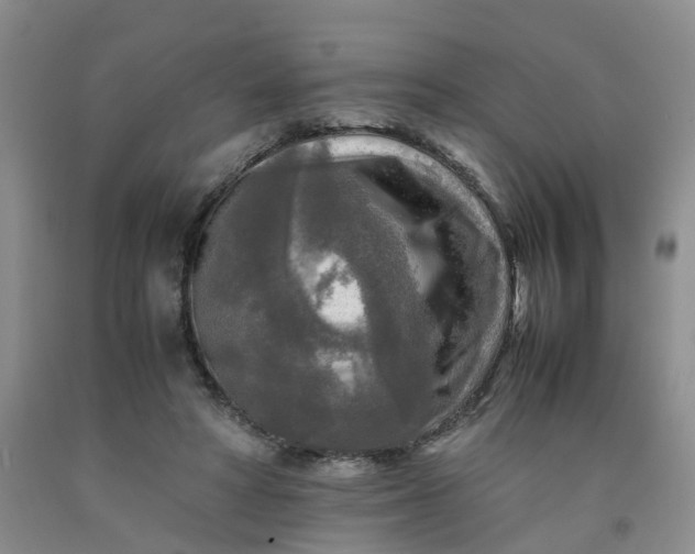 X0000091980402200709201431