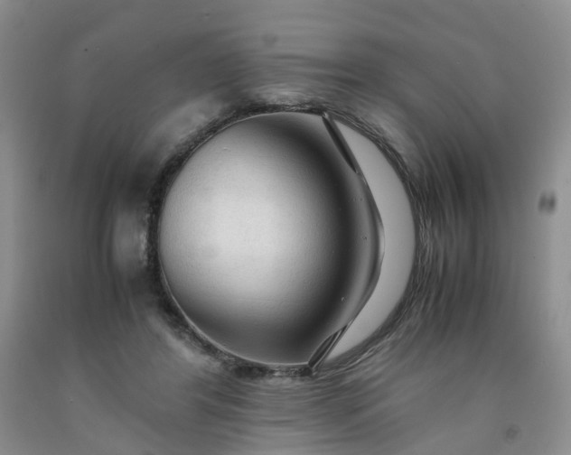 X0000091980404200709201431