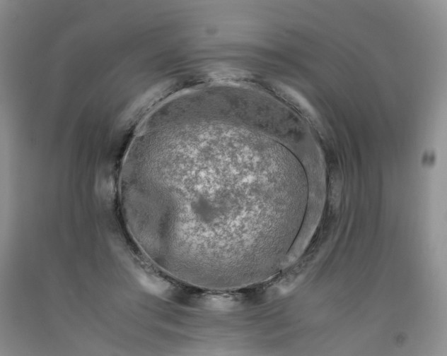 X0000091980405200709201431