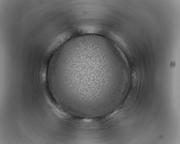 X0000091980406200709201431