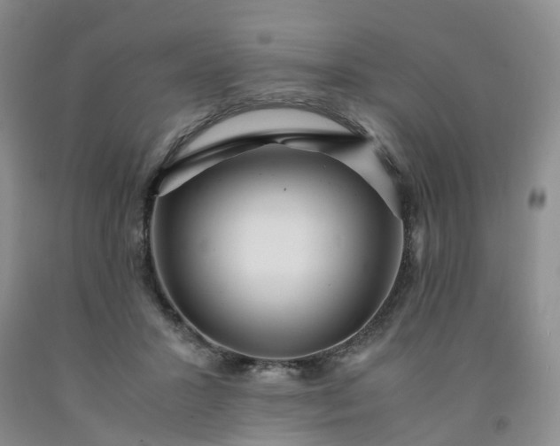 X0000091980407200709201431