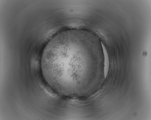 X0000091980408200709201431