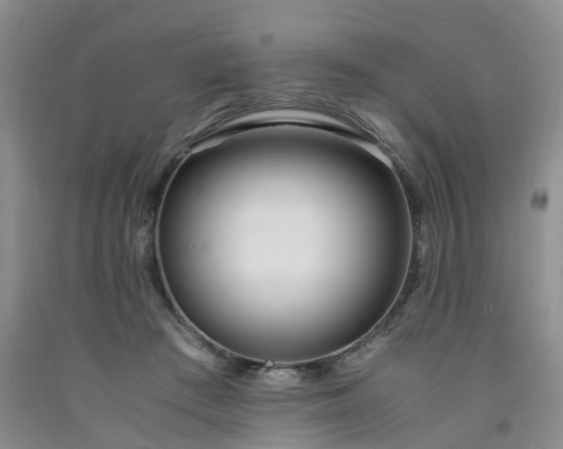 X0000091980409200709201431