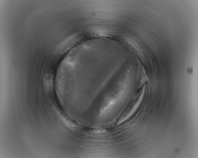 X0000091980410200709201431