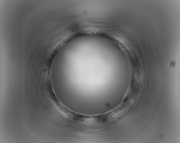 X0000091980411200709201431