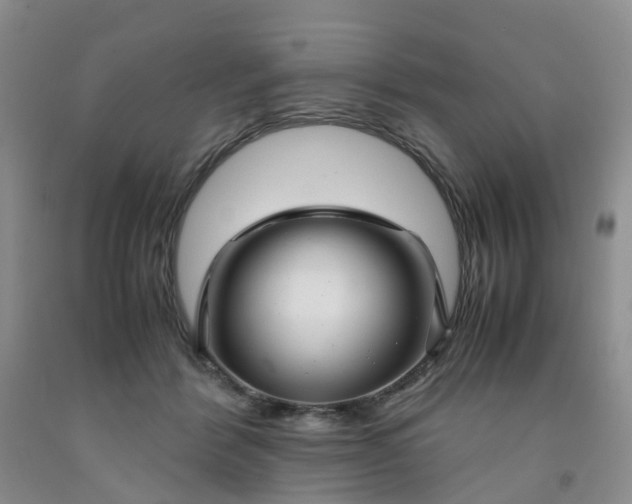 X0000091980412200709201431