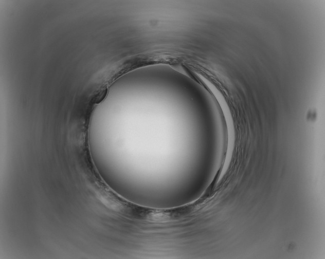 X0000091980413200709201431