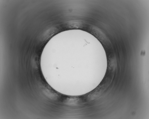 X0000091980414200709201431