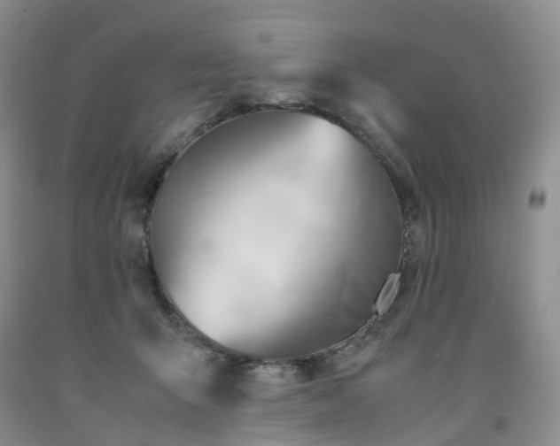 X0000091980415200709201431