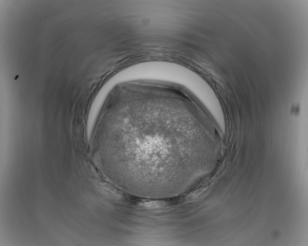 X0000091980417200709201431