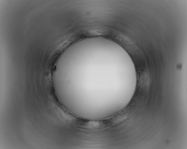 X0000091980418200709201430