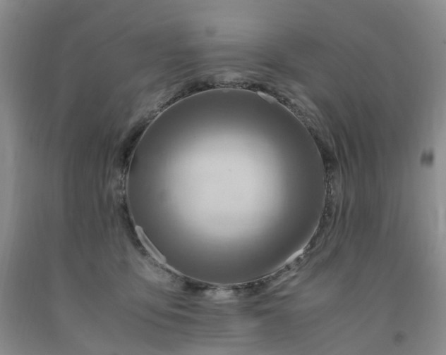 X0000091980419200709201430