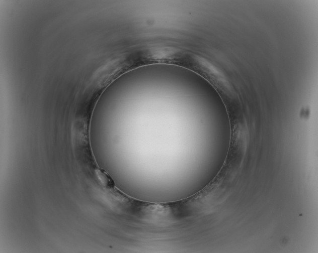 X0000091980421200709201430