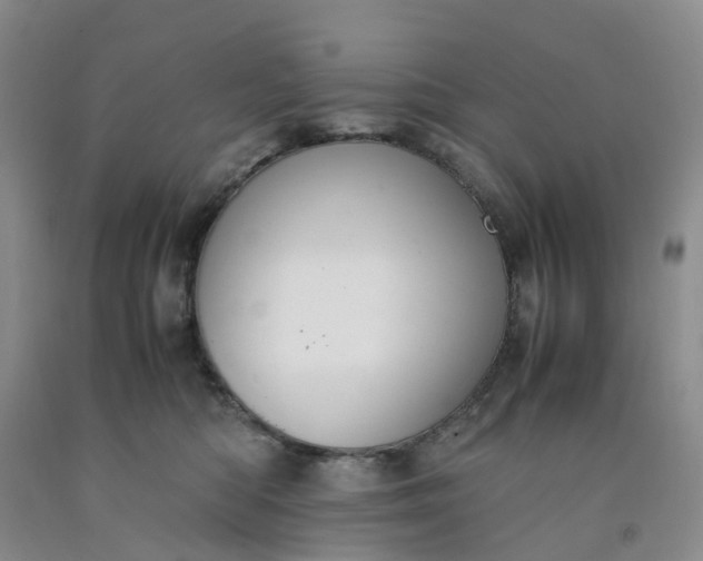 X0000091980422200709201430