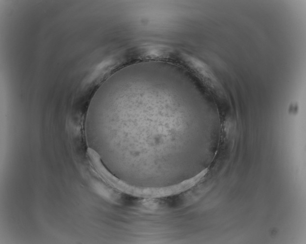 X0000091980423200709201430