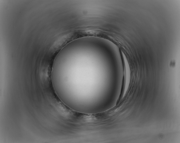 X0000091980424200709201430