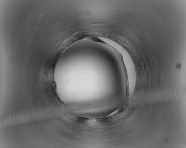 X0000091980425200709201430