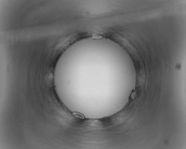 X0000091980427200709201430