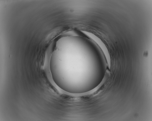 X0000091980428200709201430