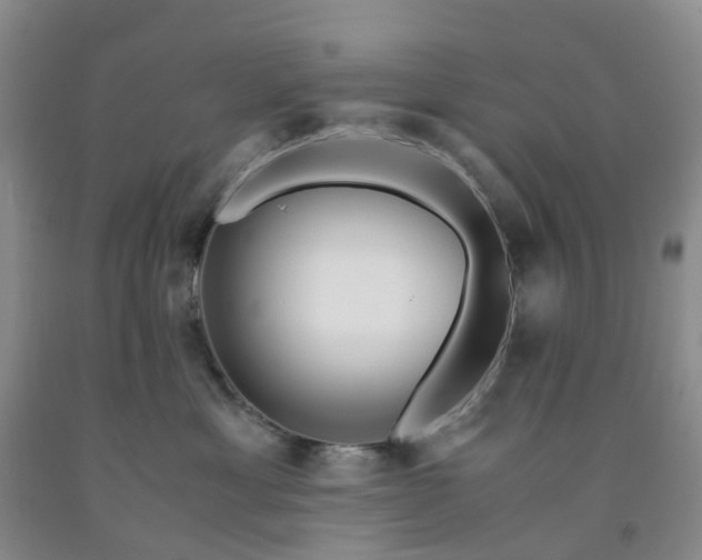 X0000091980429200709201430