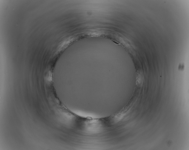 X0000091980431200709201430