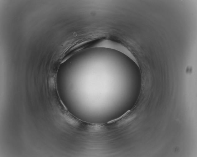 X0000091980432200709201430