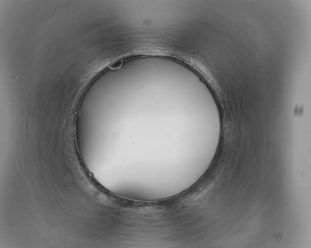 X0000091980433200709201429