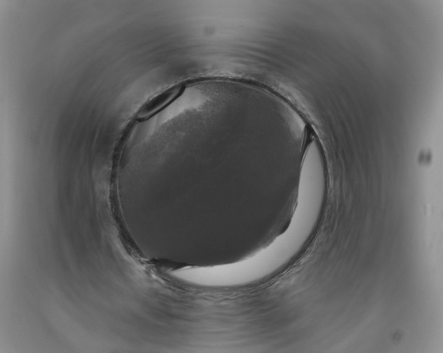 X0000091980434200709201429