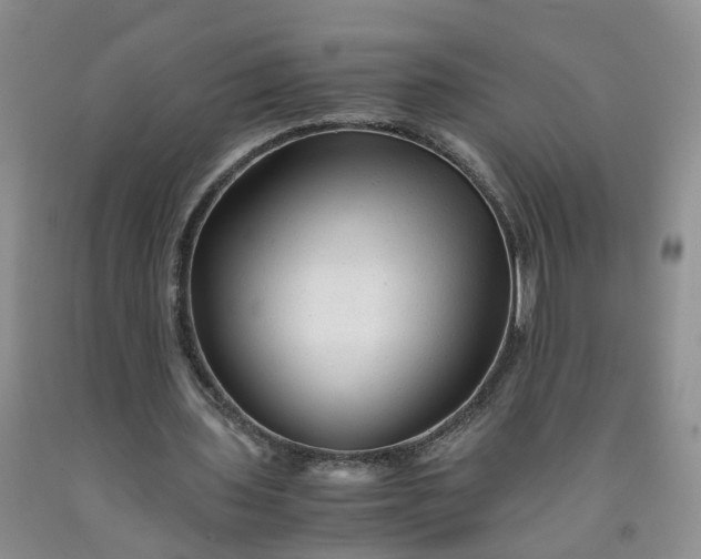 X0000091980435200709201429