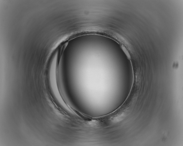 X0000091980436200709201429