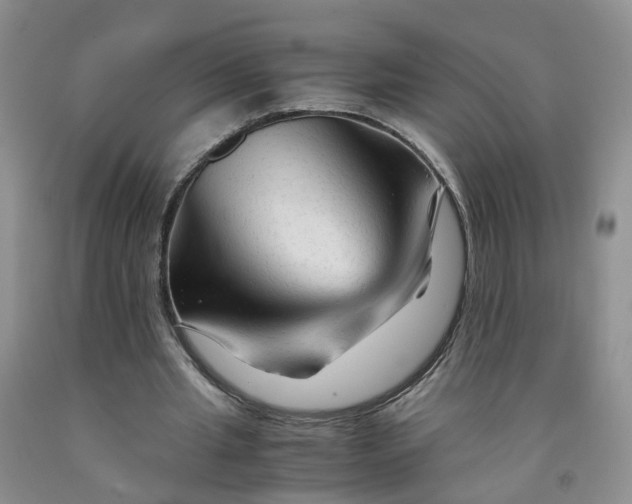 X0000091980437200709201429