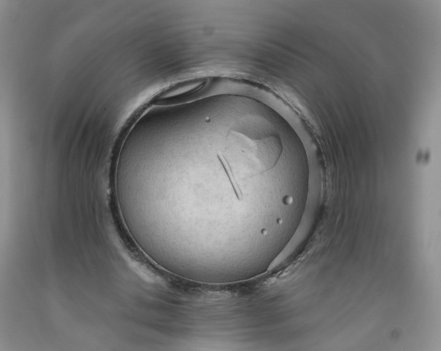 X0000091980438200709201430