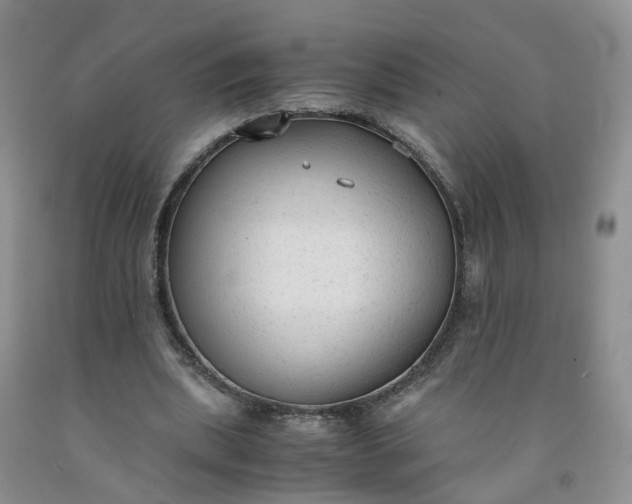 X0000091980439200709201430