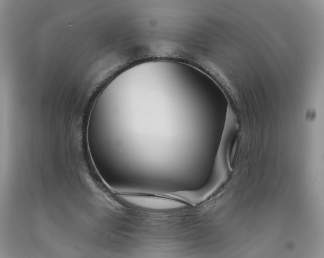 X0000091980442200709201430