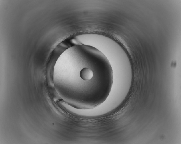 X0000091980443200709201430