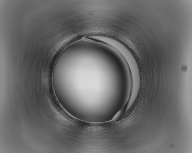 X0000091980444200709201430