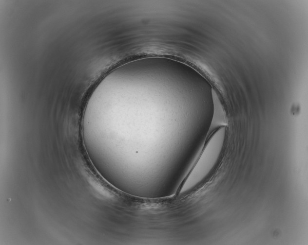 X0000091980445200709201430