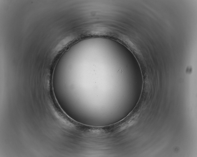 X0000091980446200709201430