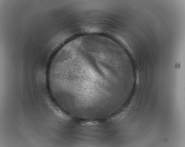 X0000091980447200709201430