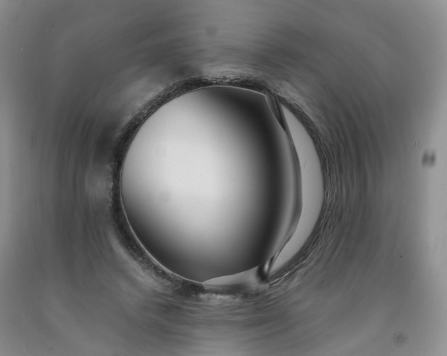 X0000091980448200709201430