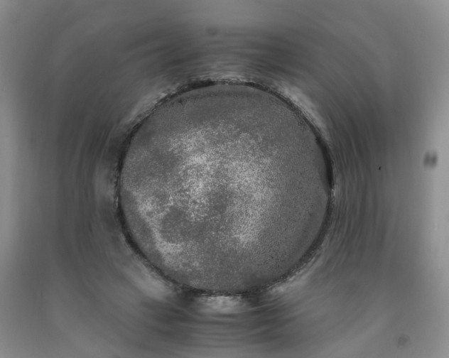 X0000091980449200709201430