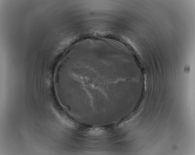 X0000091980451200709201430