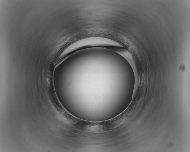 X0000091980452200709201430