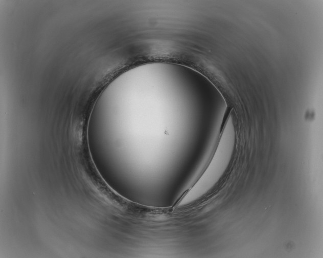 X0000091980454200709201430