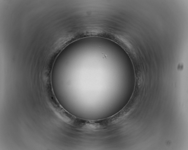 X0000091980455200709201430